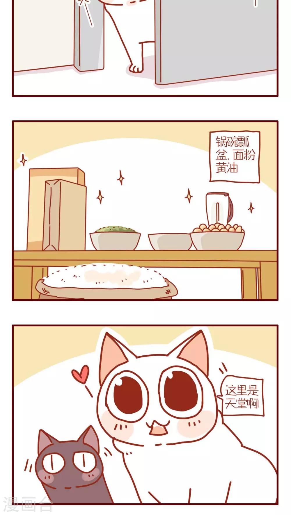 《猫咪甜品屋》第155话 第4页
