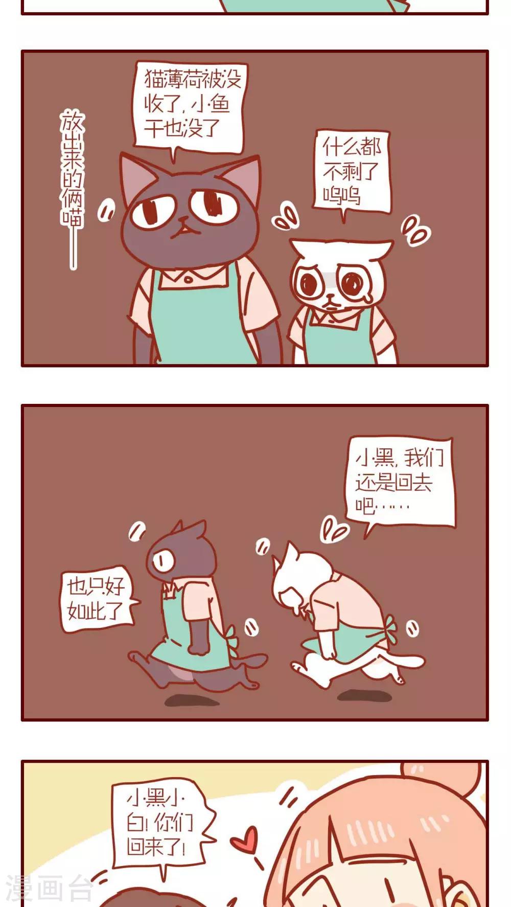 《猫咪甜品屋》第153话 第3页