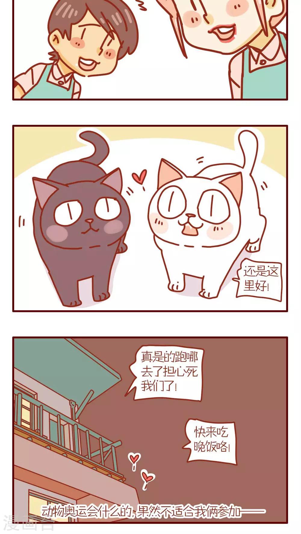《猫咪甜品屋》第153话 第4页