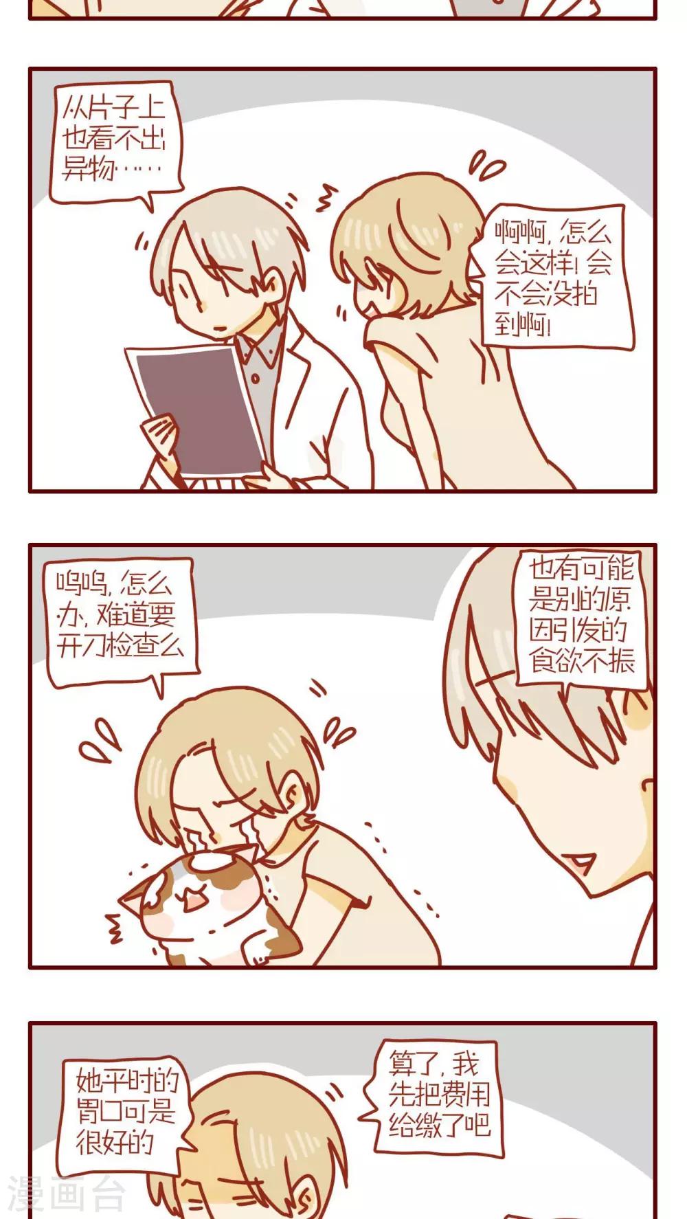 《猫咪甜品屋》第160话 第3页