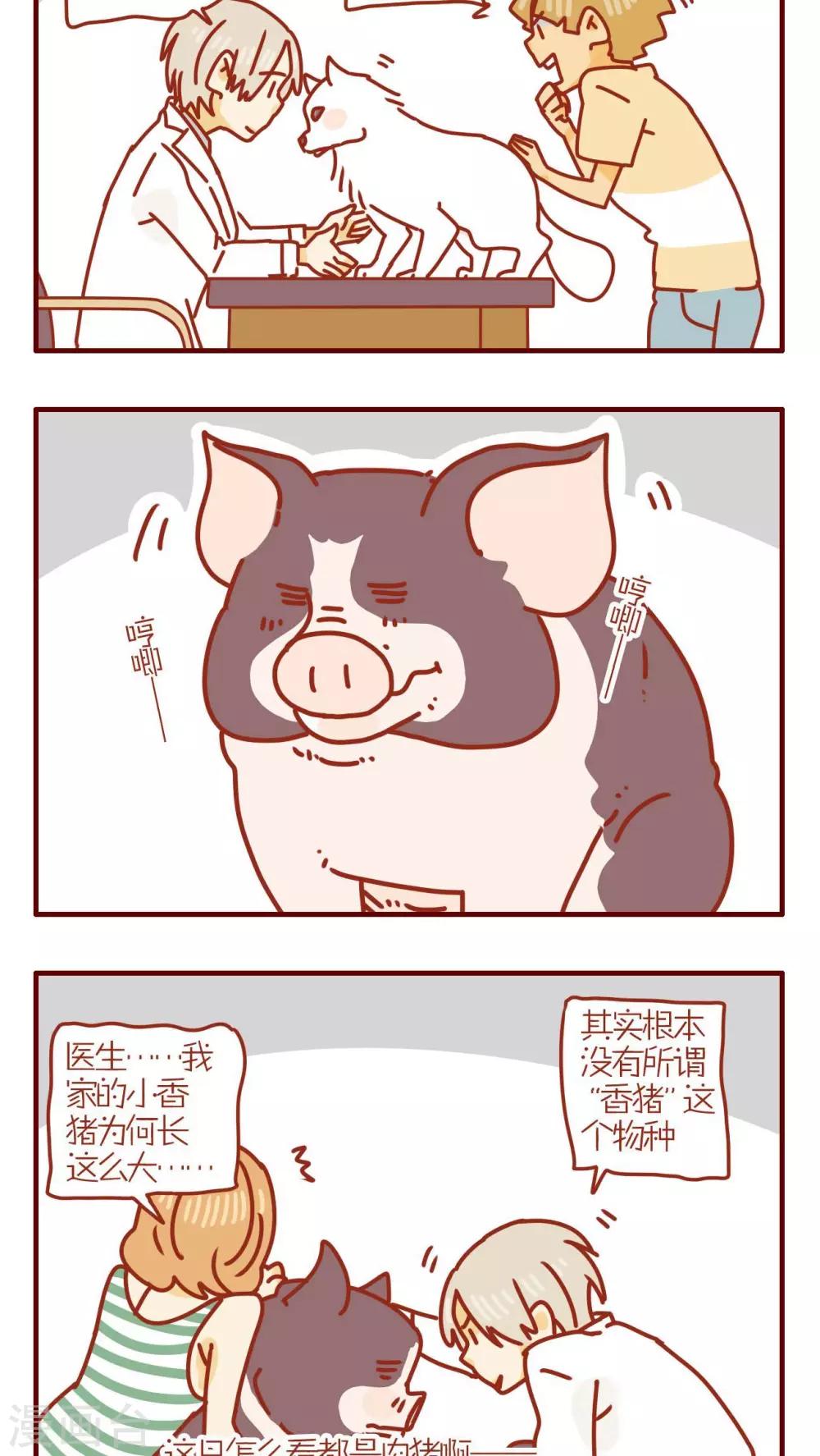 《猫咪甜品屋》第159话 第2页