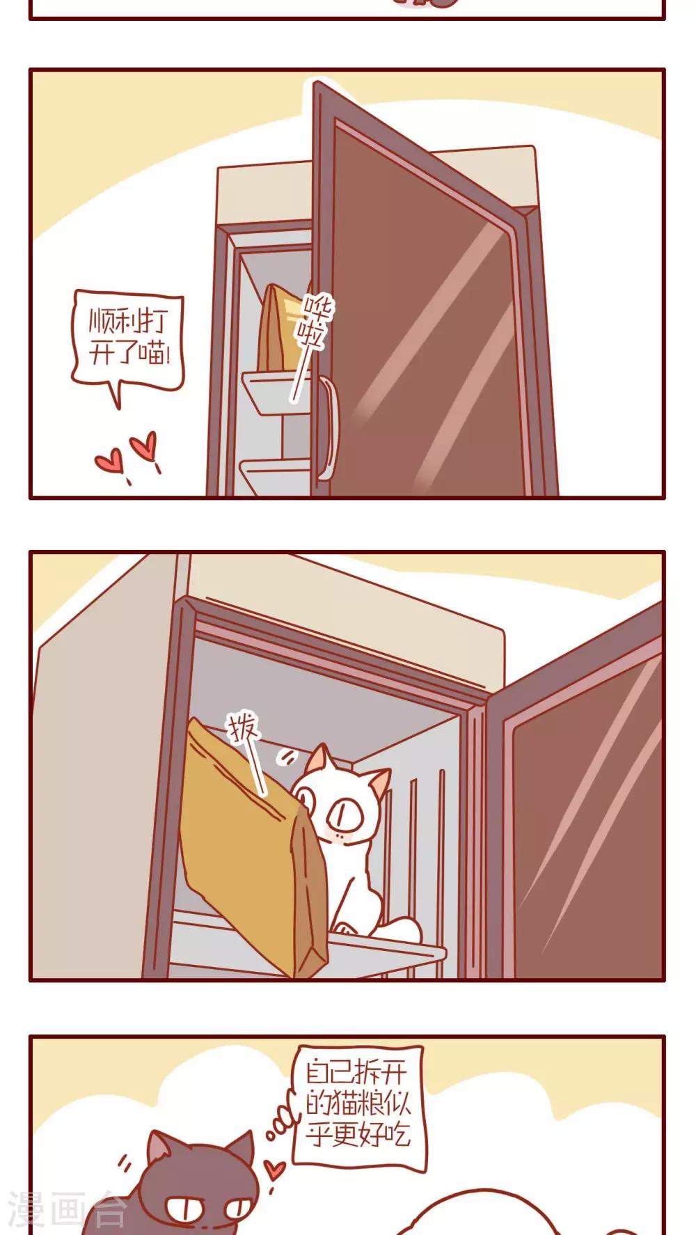 《猫咪甜品屋》第157话 第3页