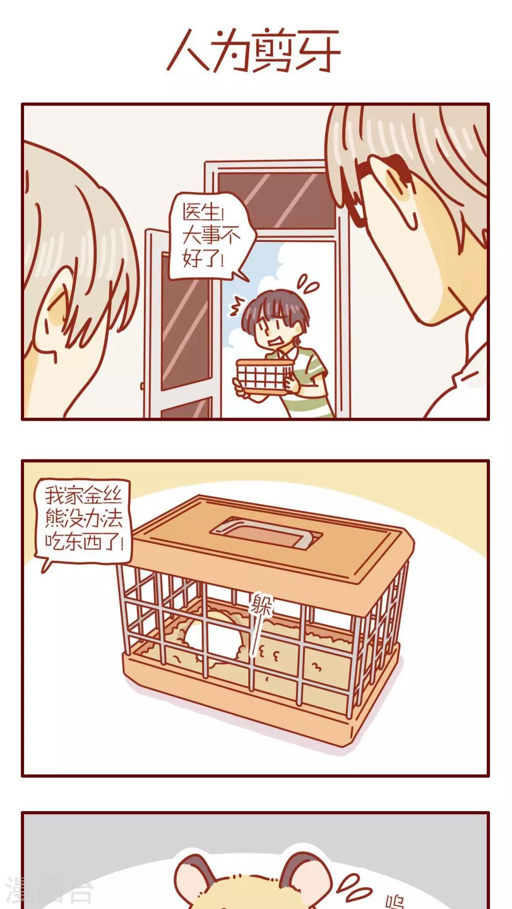 《猫咪甜品屋》第161话 第1页