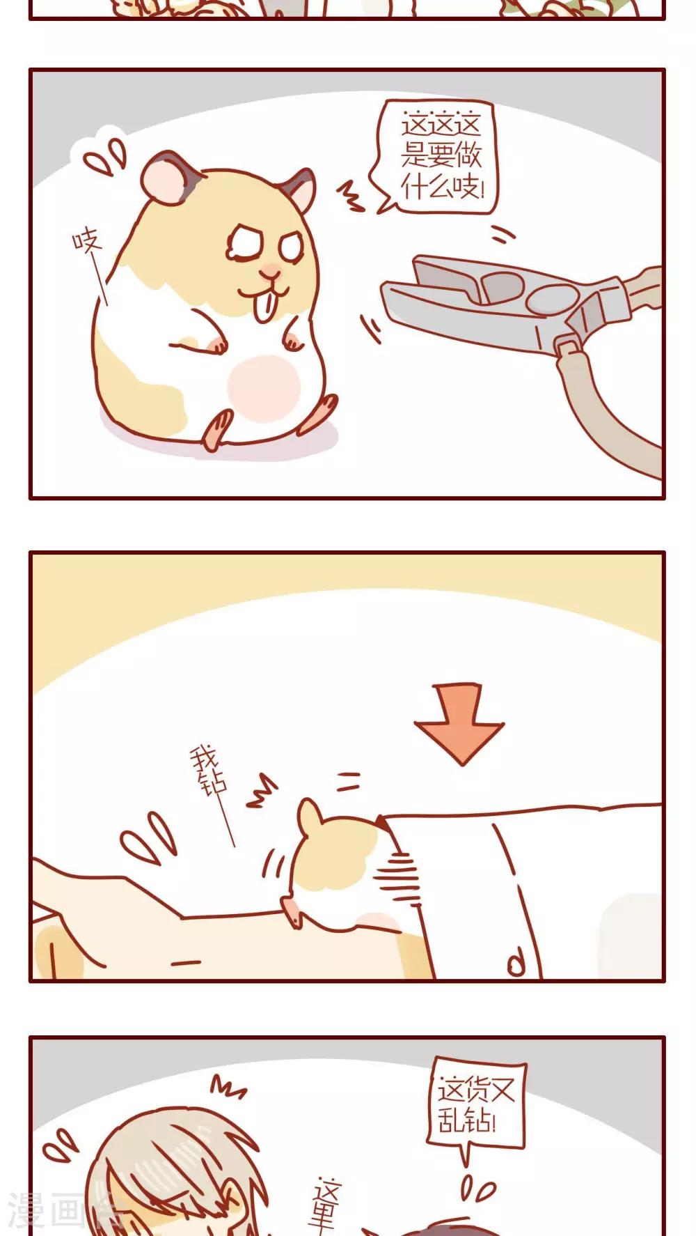 《猫咪甜品屋》第162话 第3页