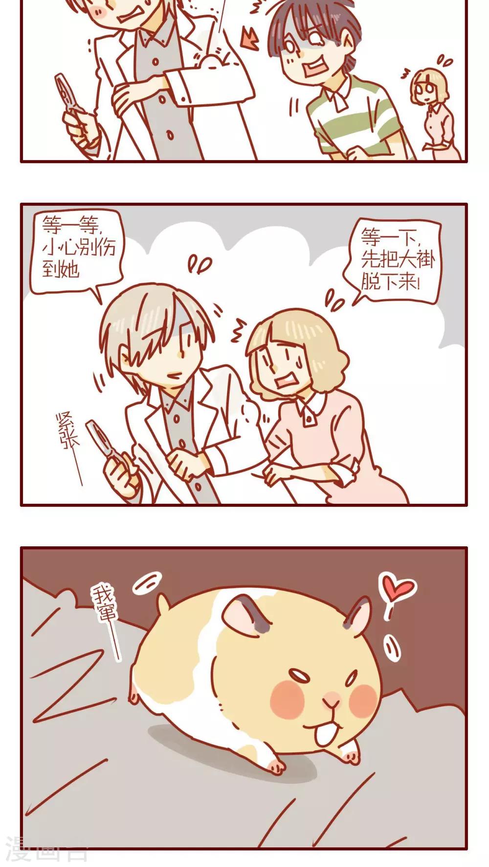 《猫咪甜品屋》第162话 第4页