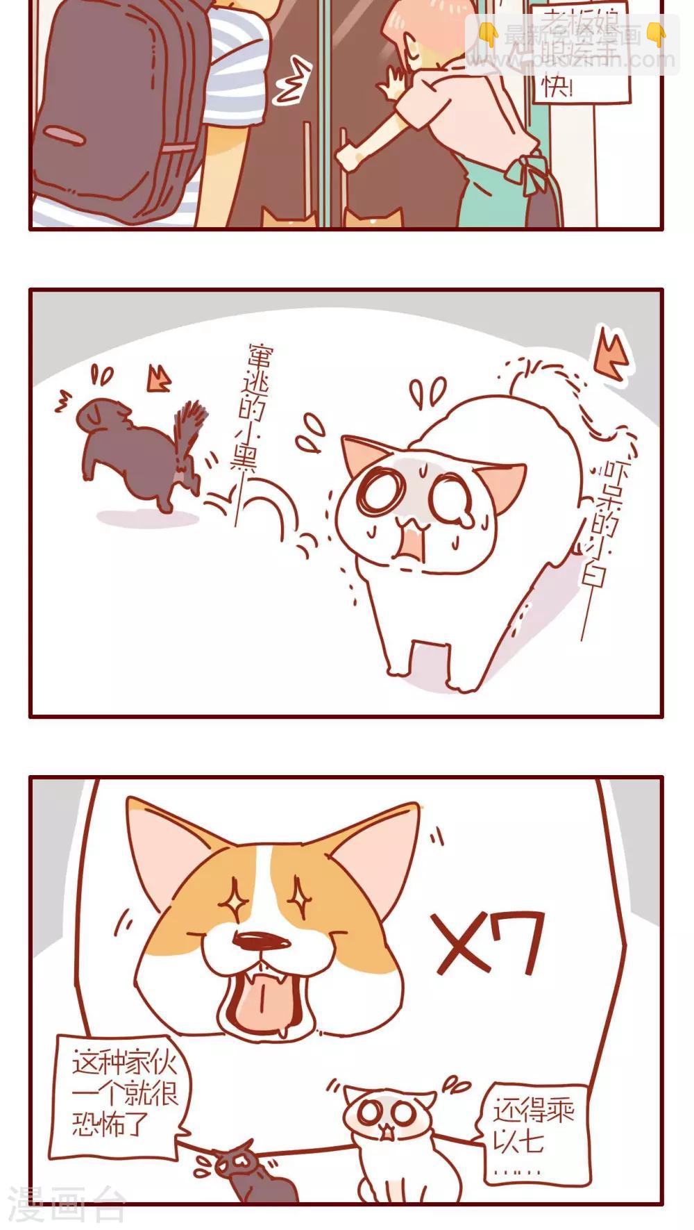 《猫咪甜品屋》第167话 第4页