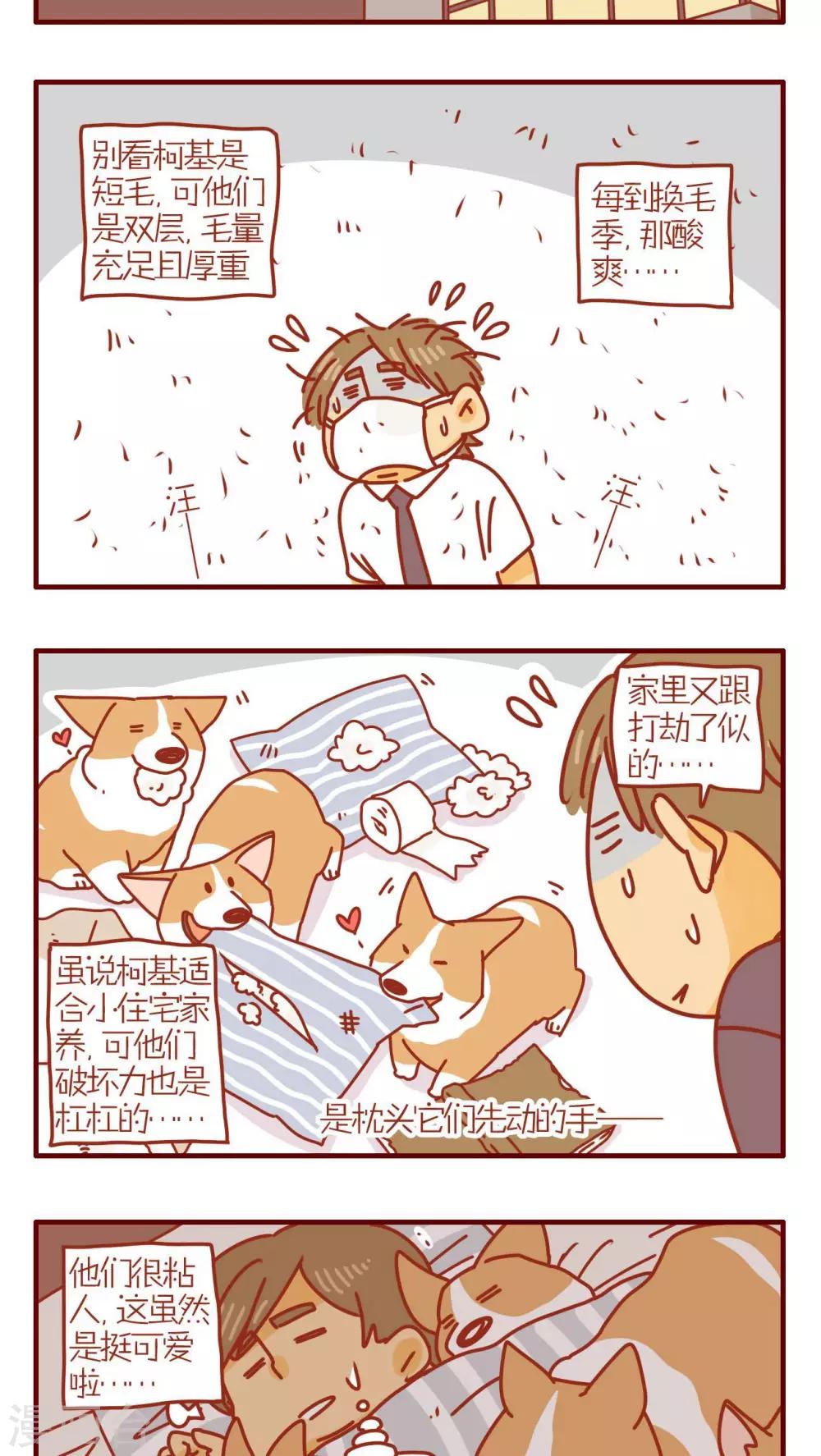 《猫咪甜品屋》第168话 第3页