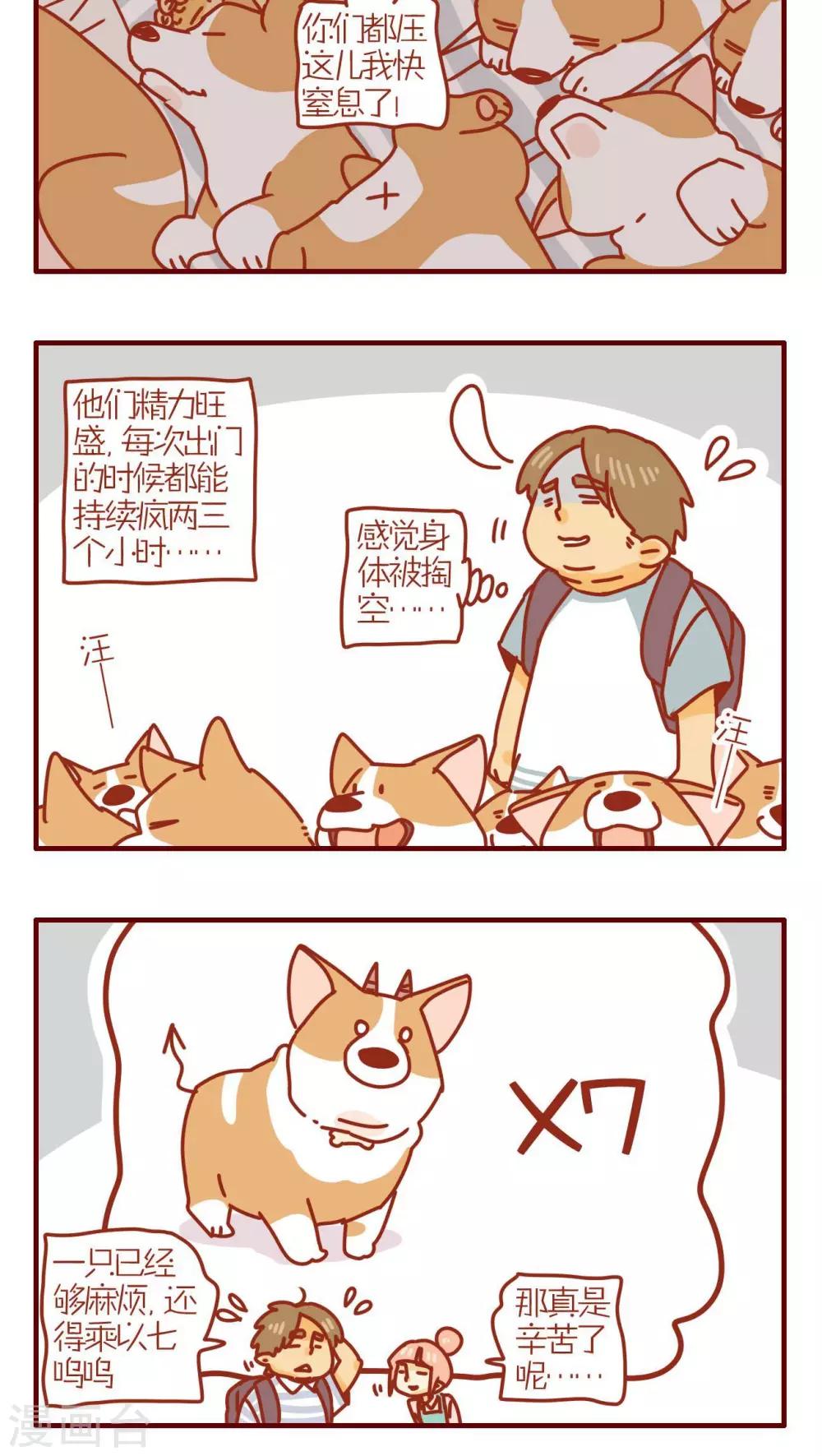 《猫咪甜品屋》第168话 第4页