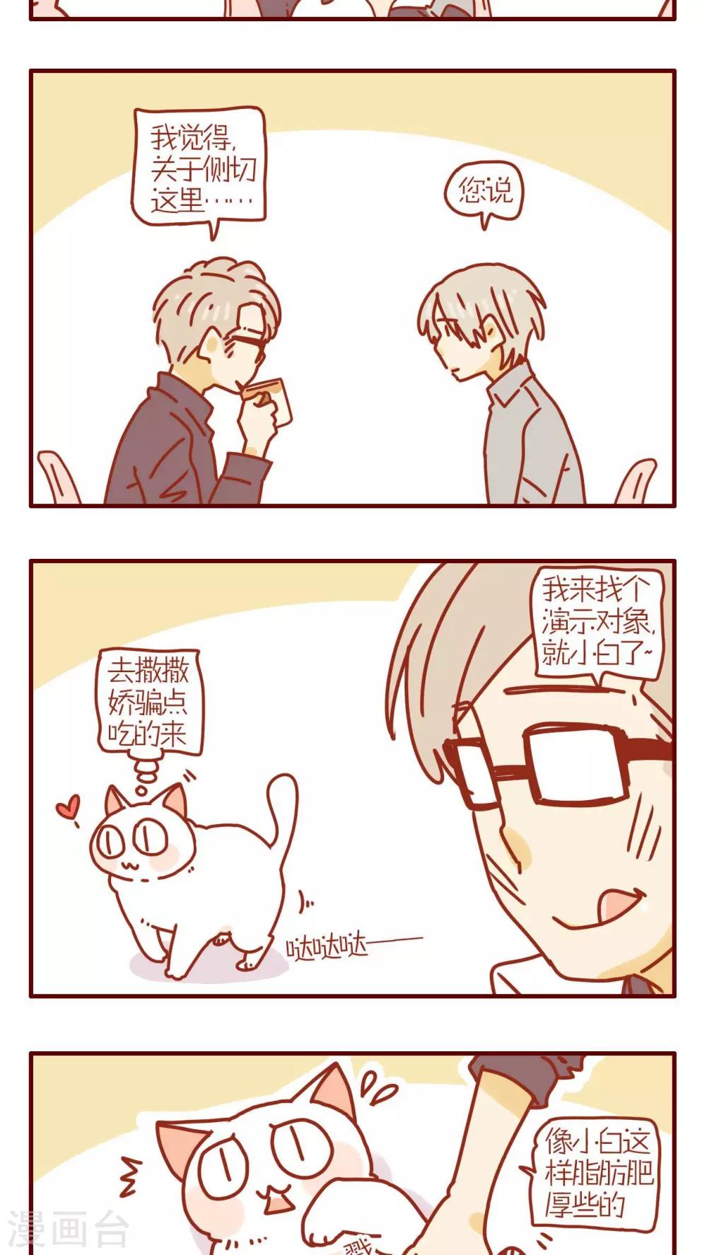 《猫咪甜品屋》第165话 第3页