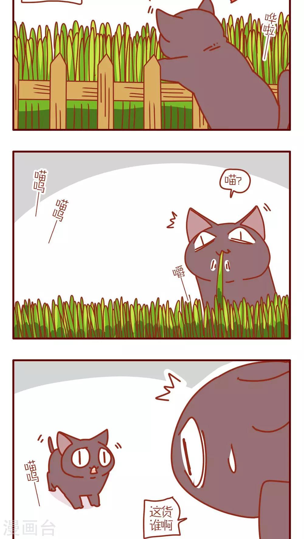 《猫咪甜品屋》第172话 第2页
