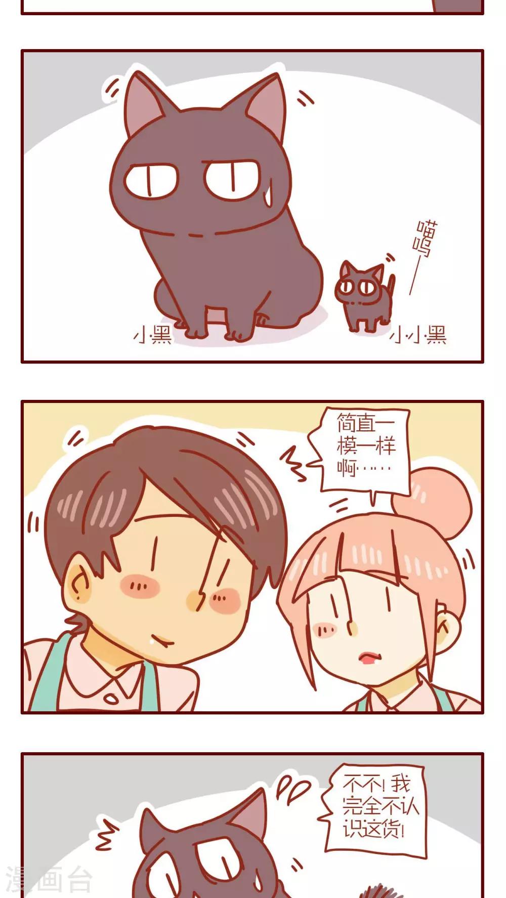 《猫咪甜品屋》第172话 第3页