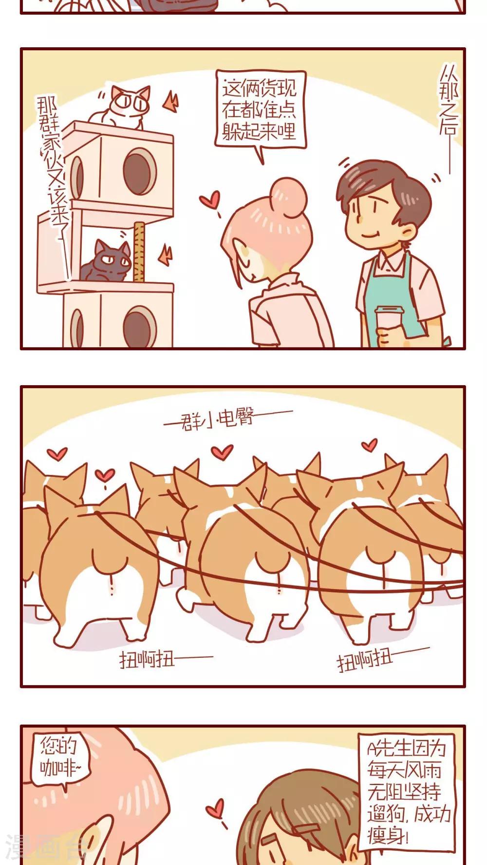 《猫咪甜品屋》第169话 第3页
