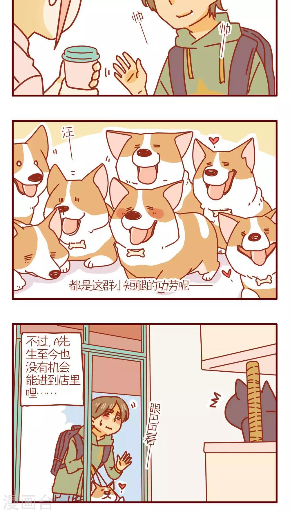 《猫咪甜品屋》第169话 第4页