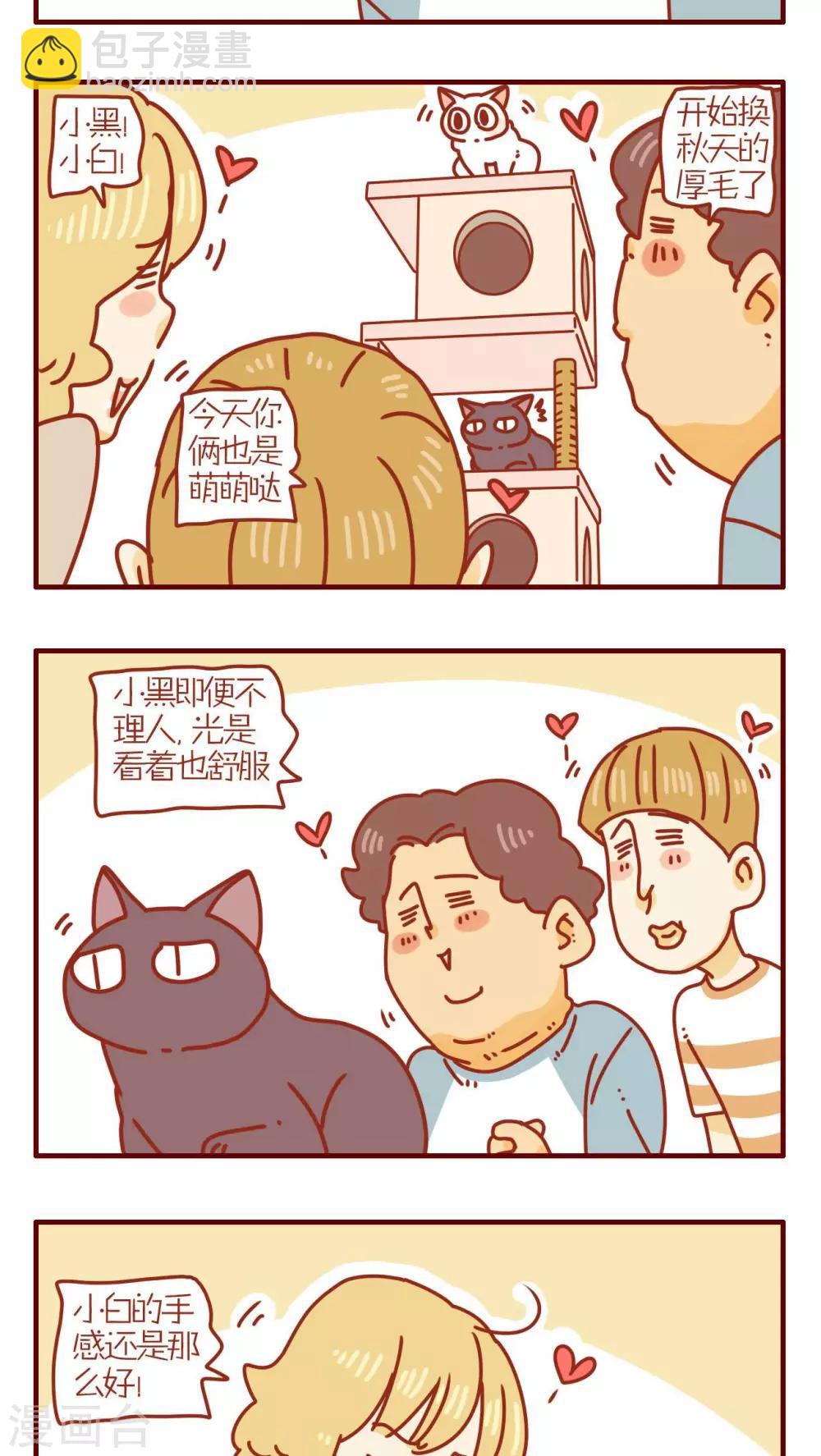 《猫咪甜品屋》第170话 第3页
