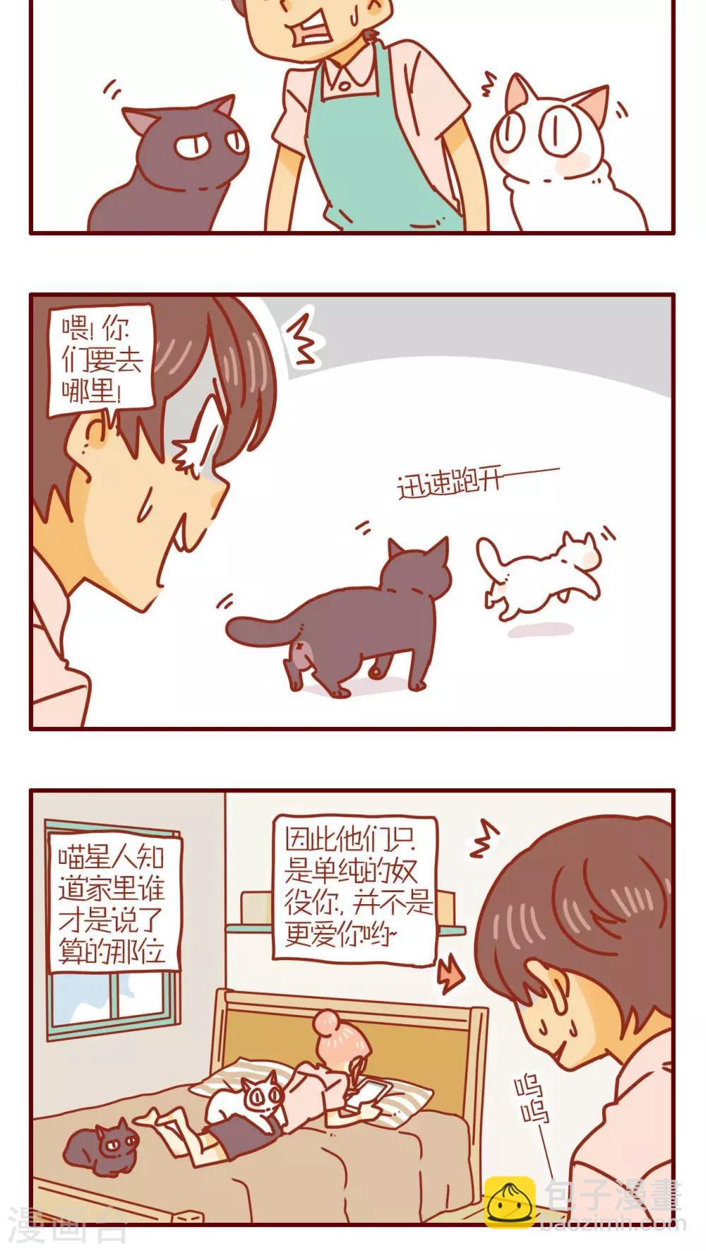 《猫咪甜品屋》第171话 第4页