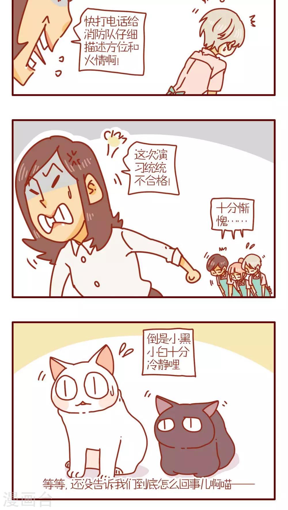 《猫咪甜品屋》第176话 第4页