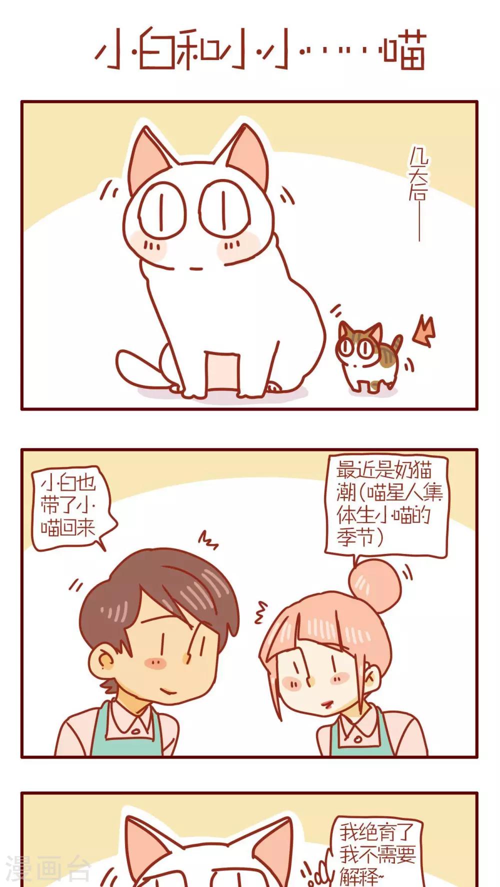 《猫咪甜品屋》第173话 第1页