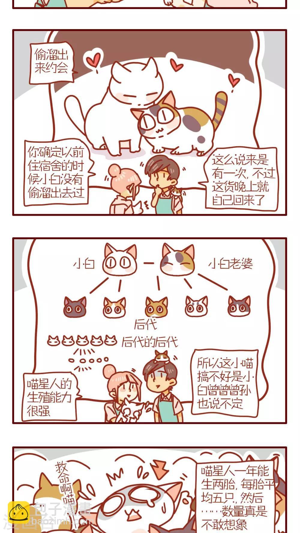 《猫咪甜品屋》第173话 第3页