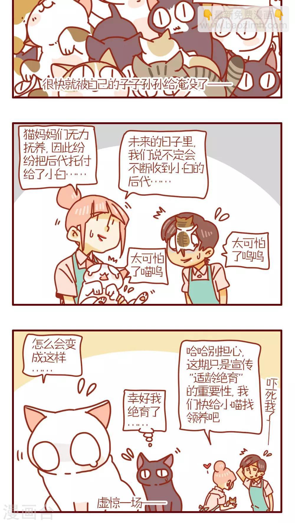 《猫咪甜品屋》第173话 第4页