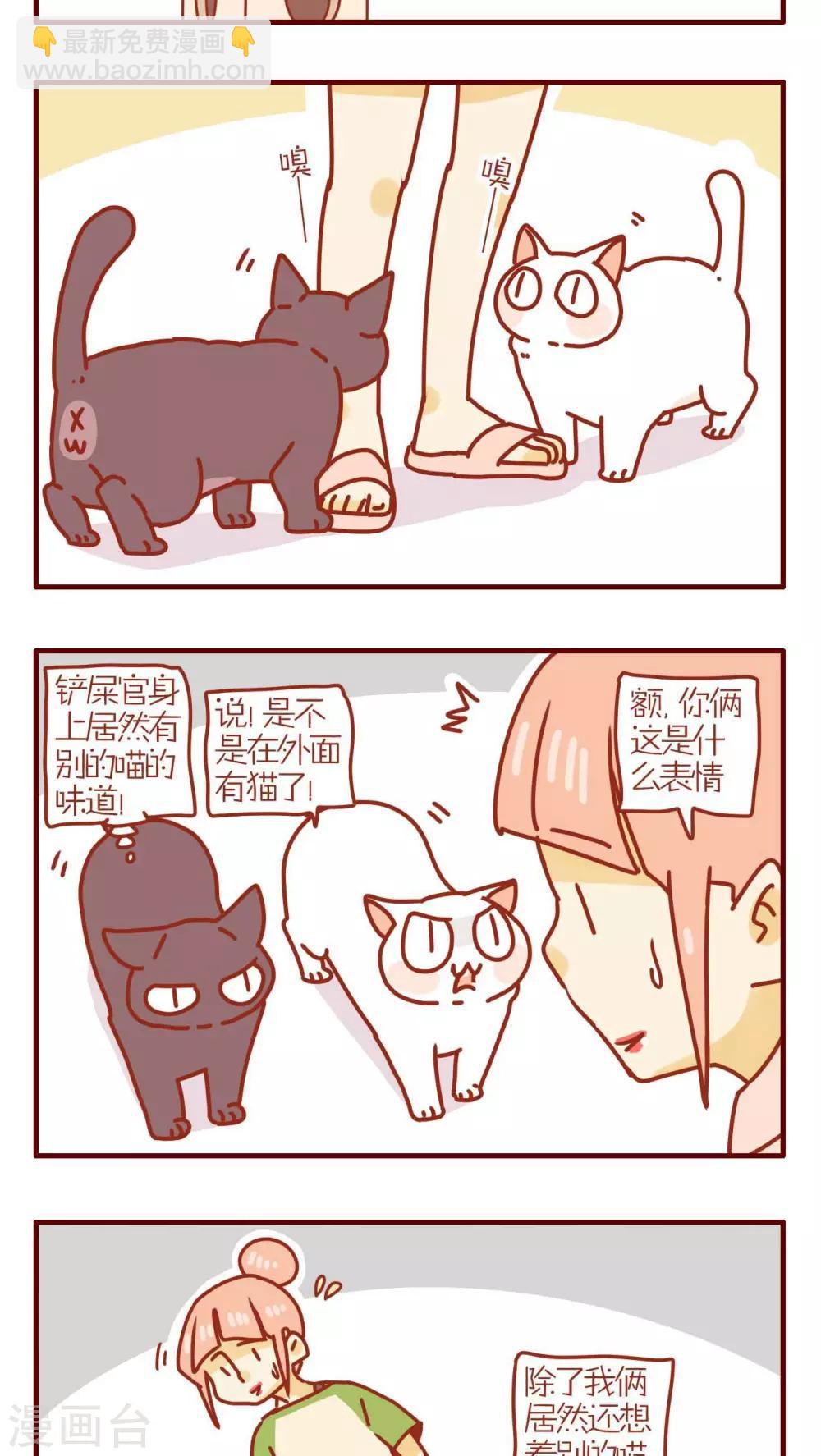 《猫咪甜品屋》第175话 第3页