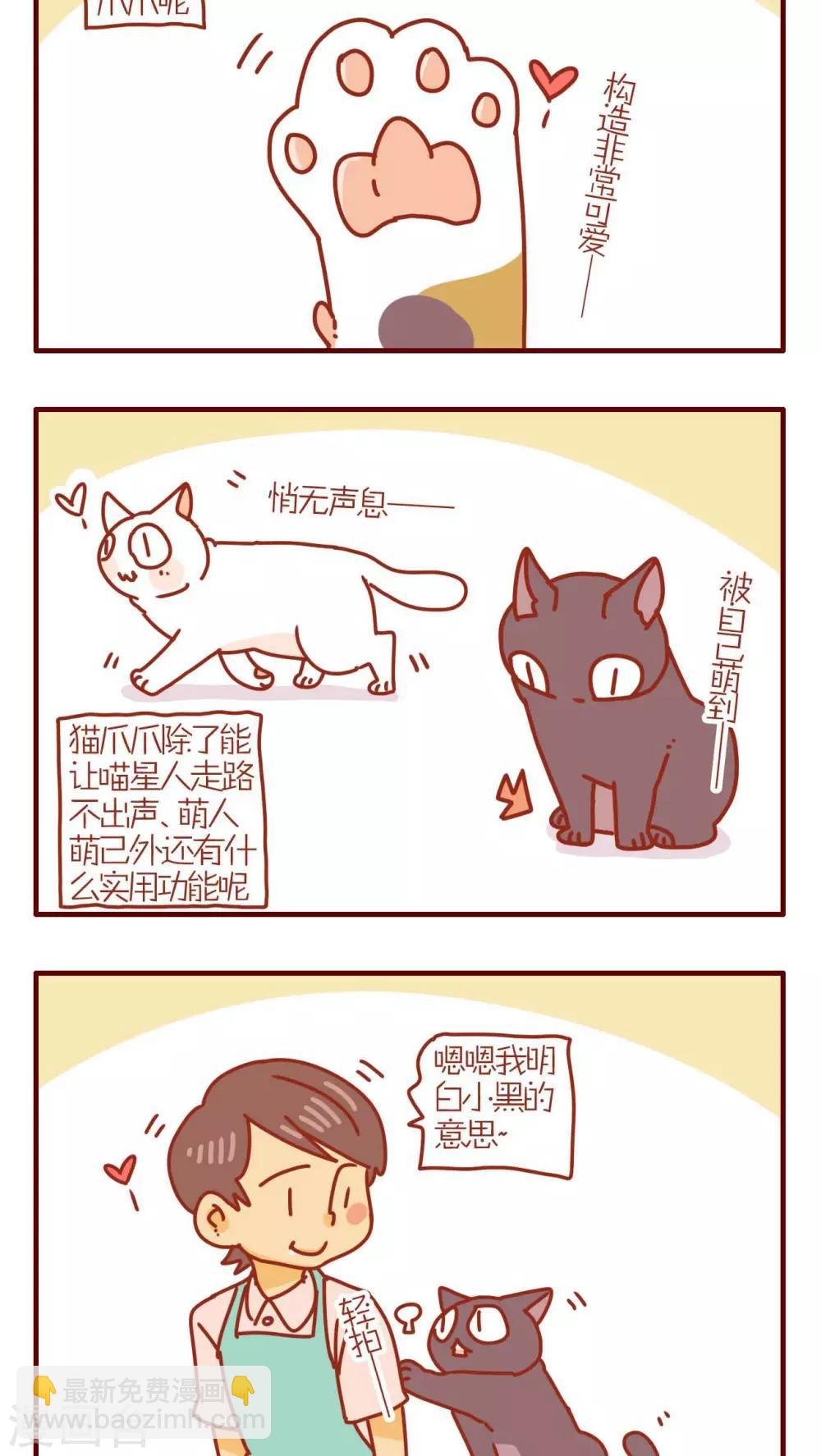 《猫咪甜品屋》第174话 第2页