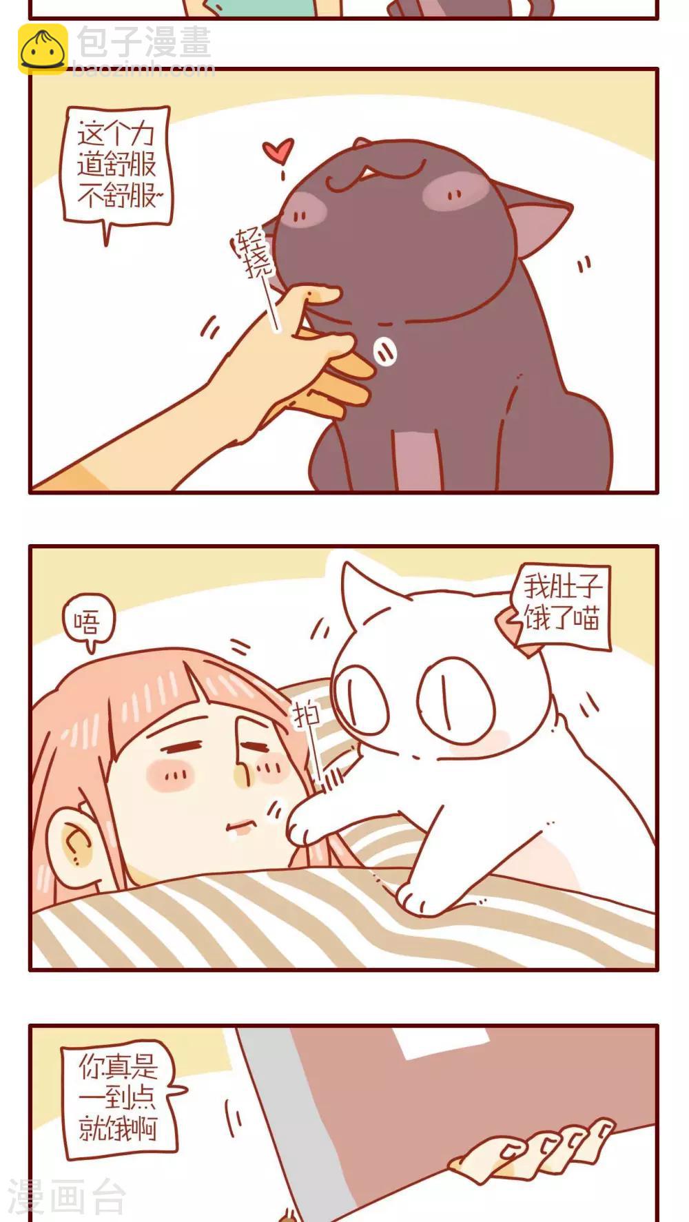 《猫咪甜品屋》第174话 第3页