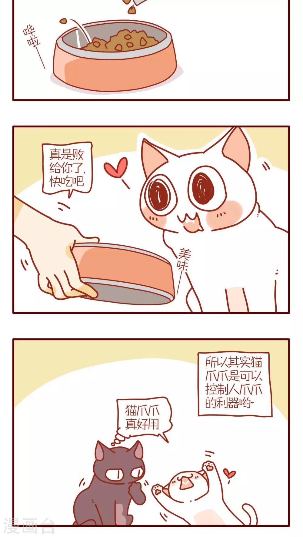 《猫咪甜品屋》第174话 第4页