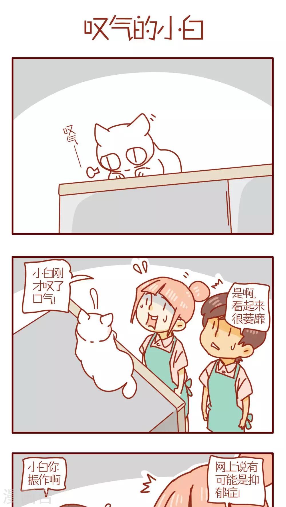 《猫咪甜品屋》第179话 第1页