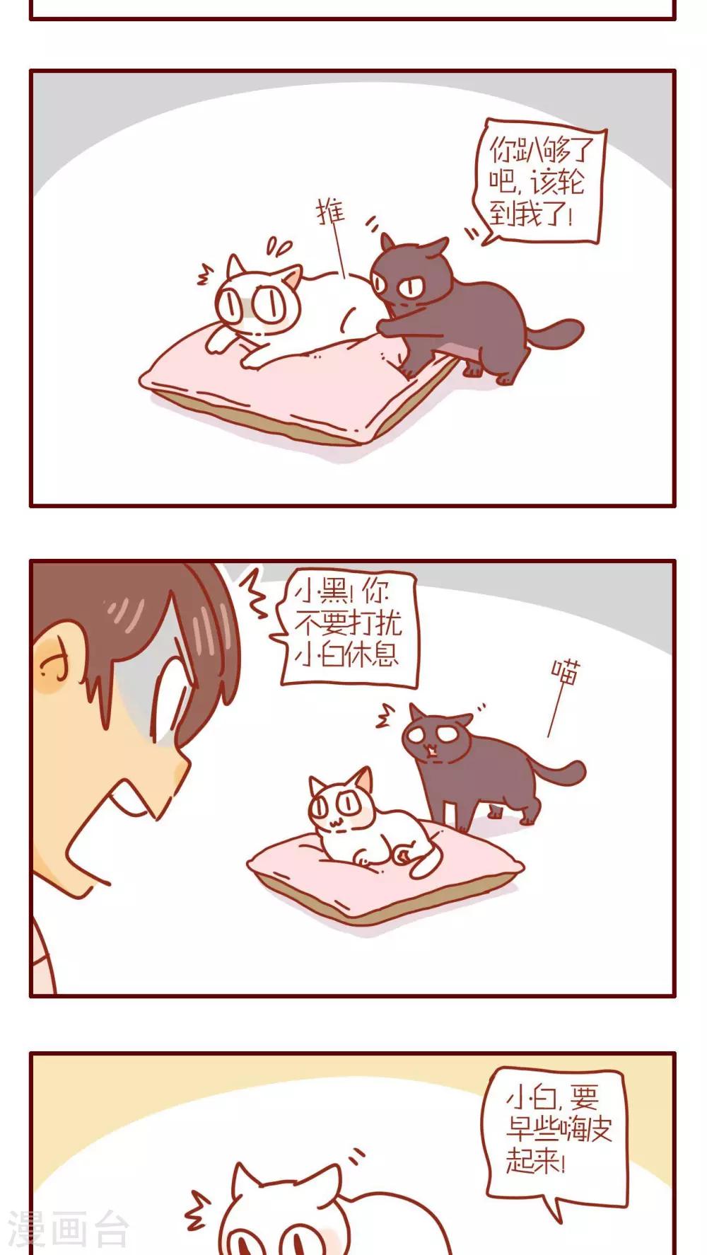 《猫咪甜品屋》第179话 第3页