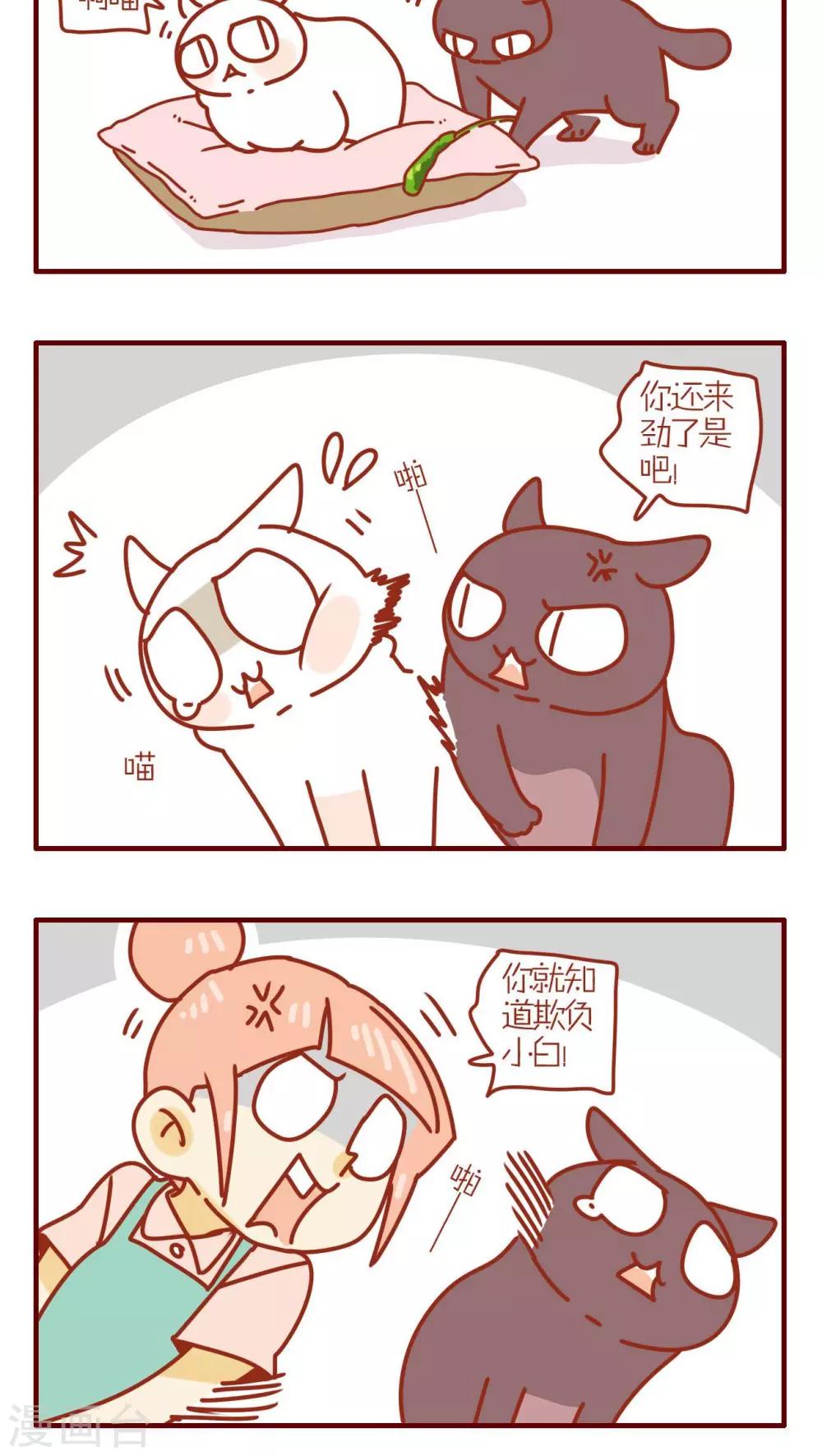 《猫咪甜品屋》第180话 第4页