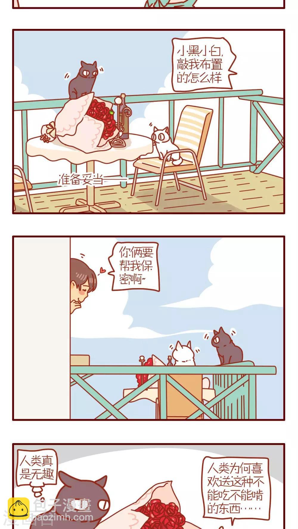 《猫咪甜品屋》第183话 第3页