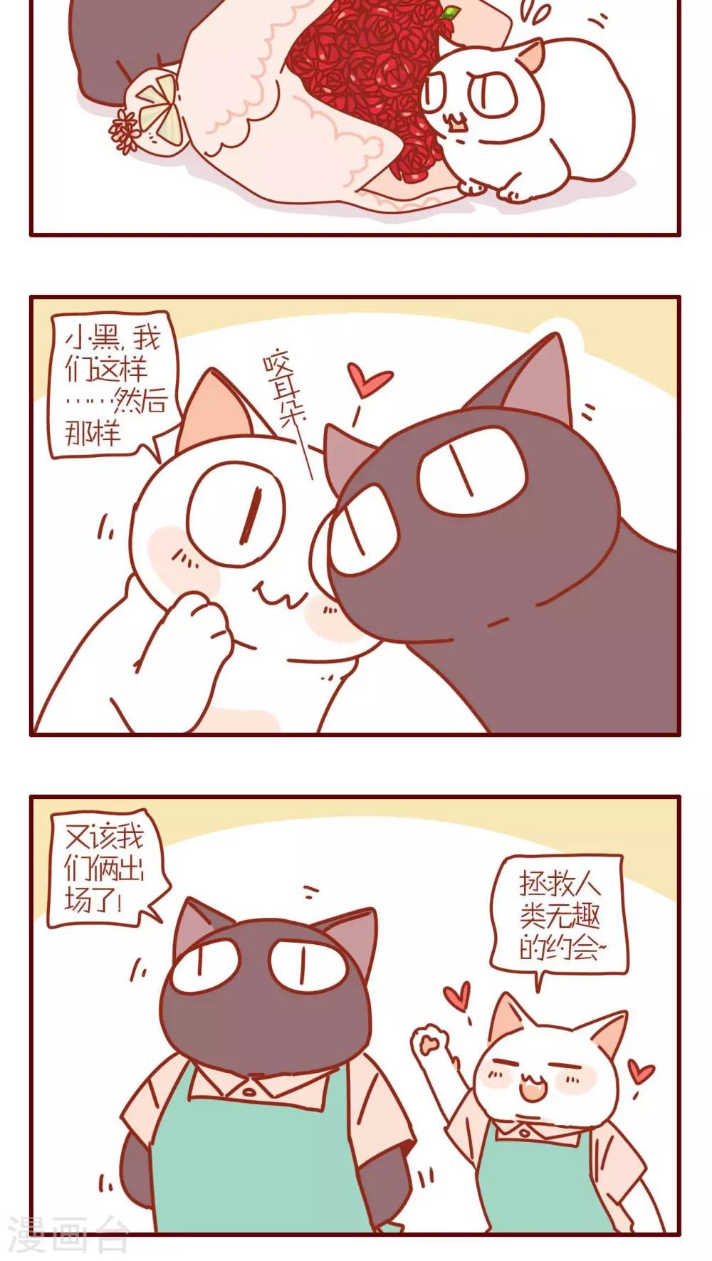 《猫咪甜品屋》第183话 第4页