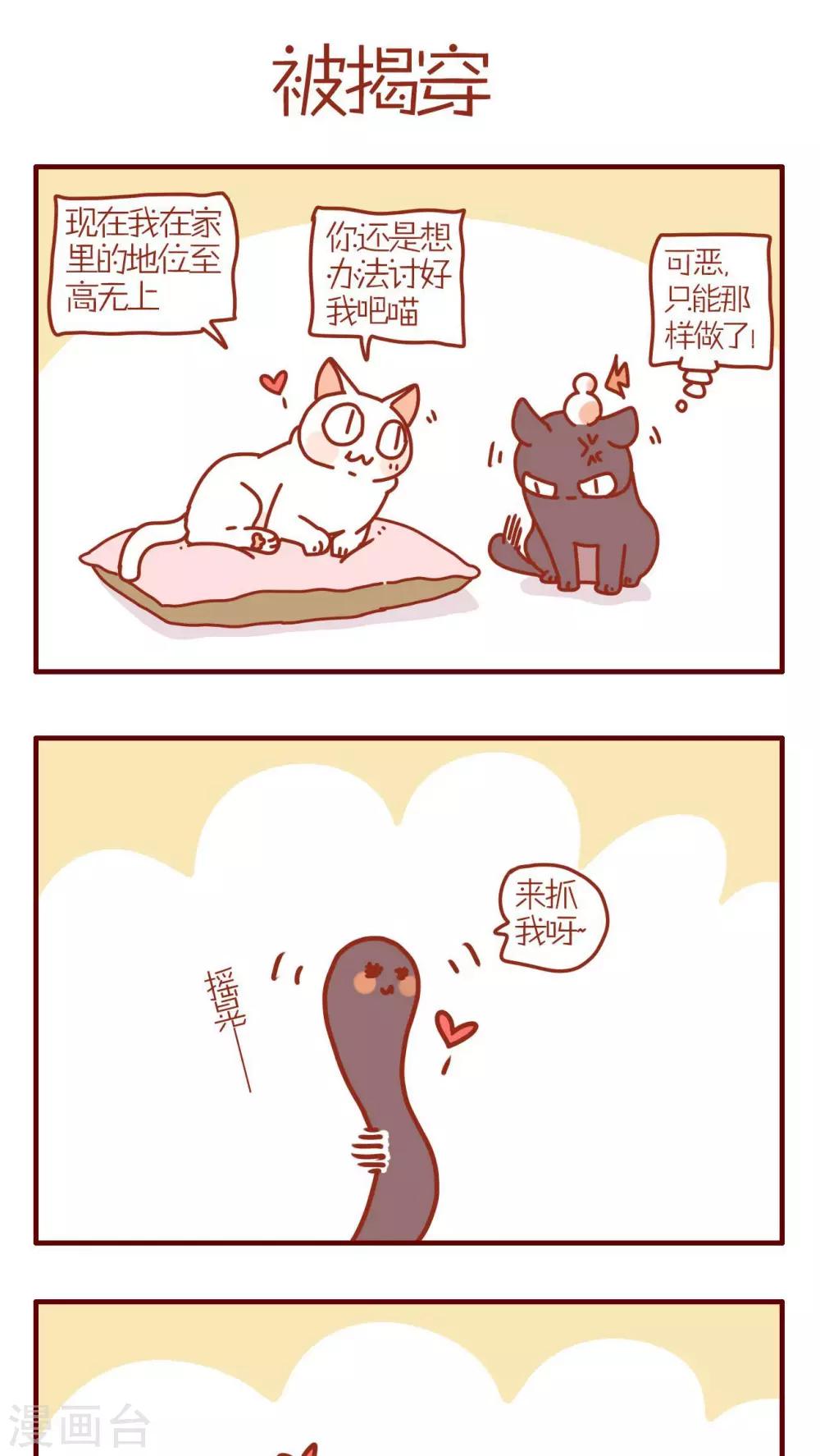 《猫咪甜品屋》第181话 第1页