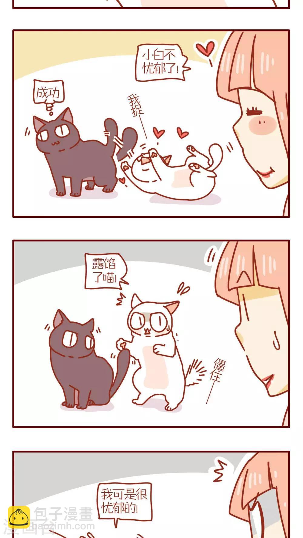 《猫咪甜品屋》第181话 第3页
