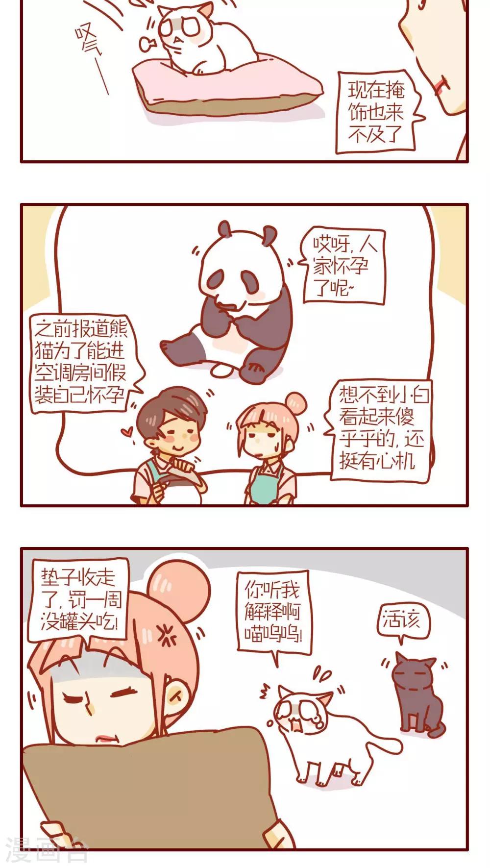 《猫咪甜品屋》第181话 第4页