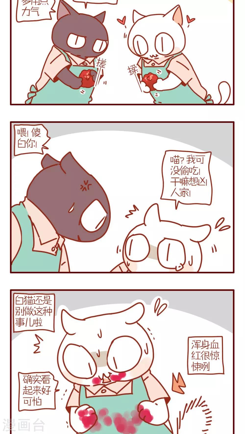《猫咪甜品屋》第184话 第2页