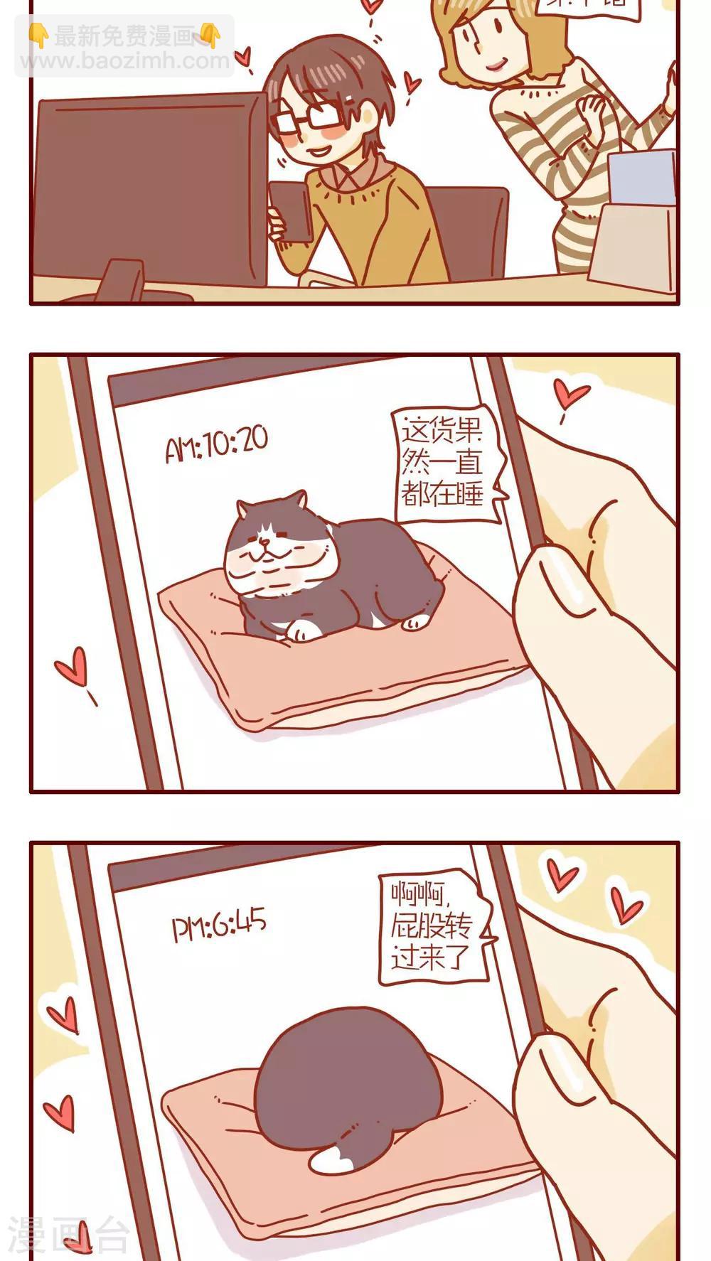 《猫咪甜品屋》第187话 第2页