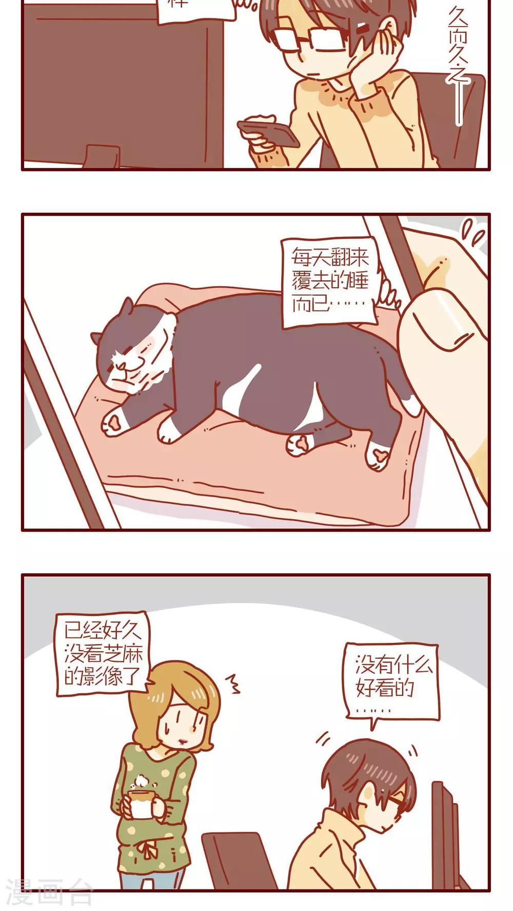 《猫咪甜品屋》第187话 第4页