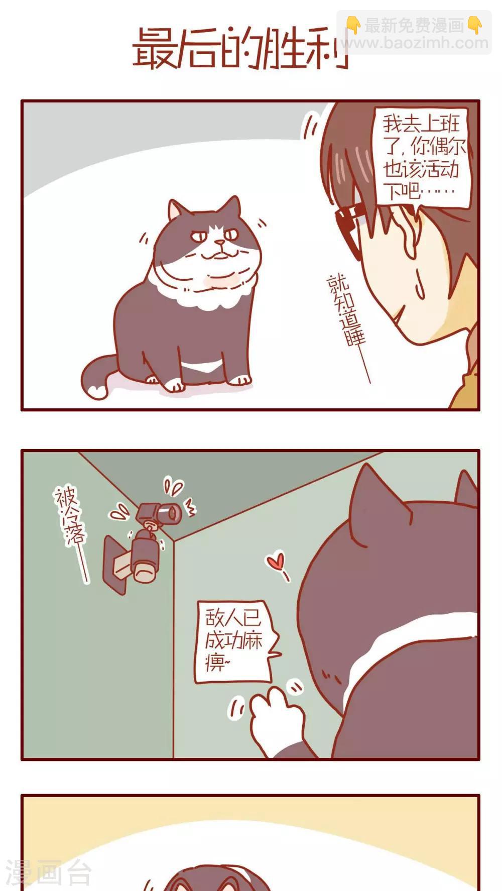 《猫咪甜品屋》第187话 第5页