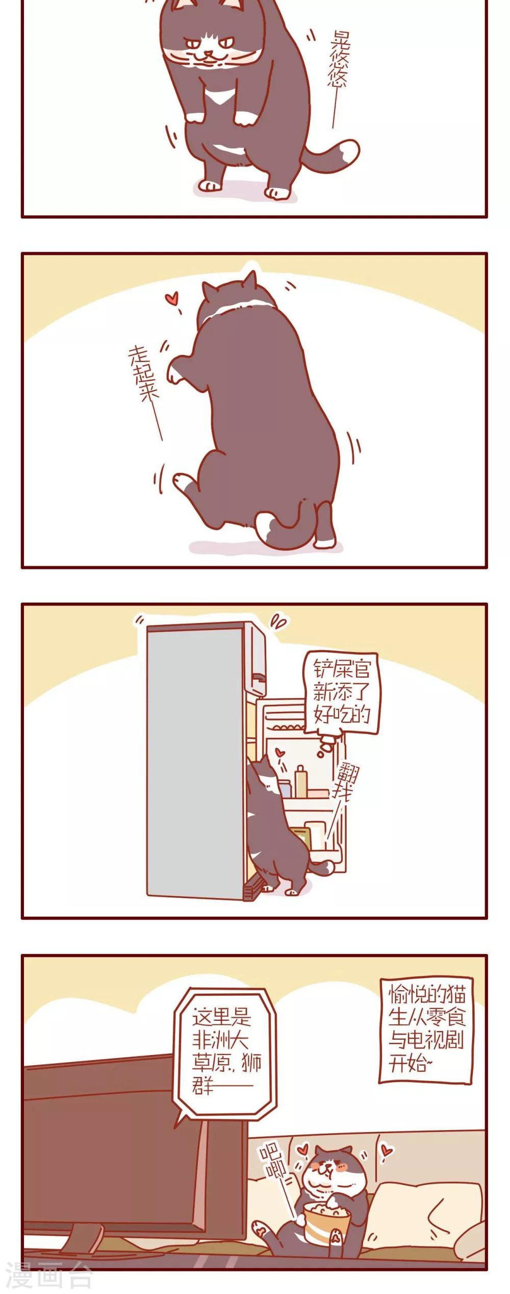 《猫咪甜品屋》第187话 第6页