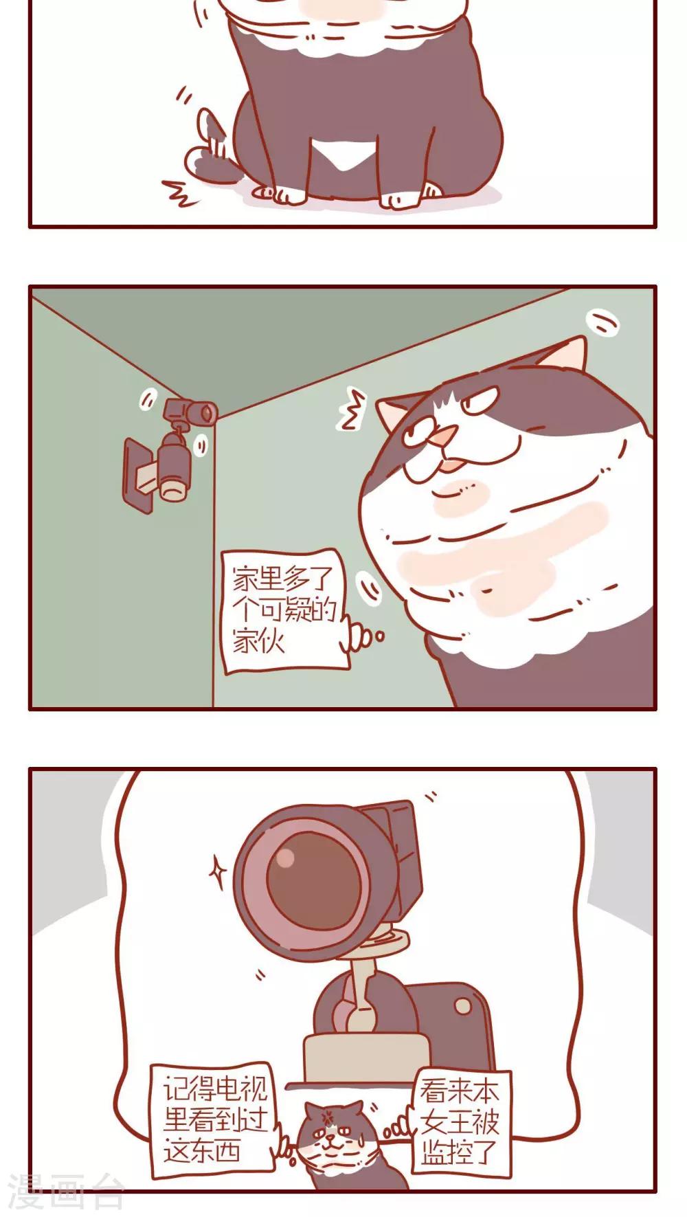 《猫咪甜品屋》第186话 第4页