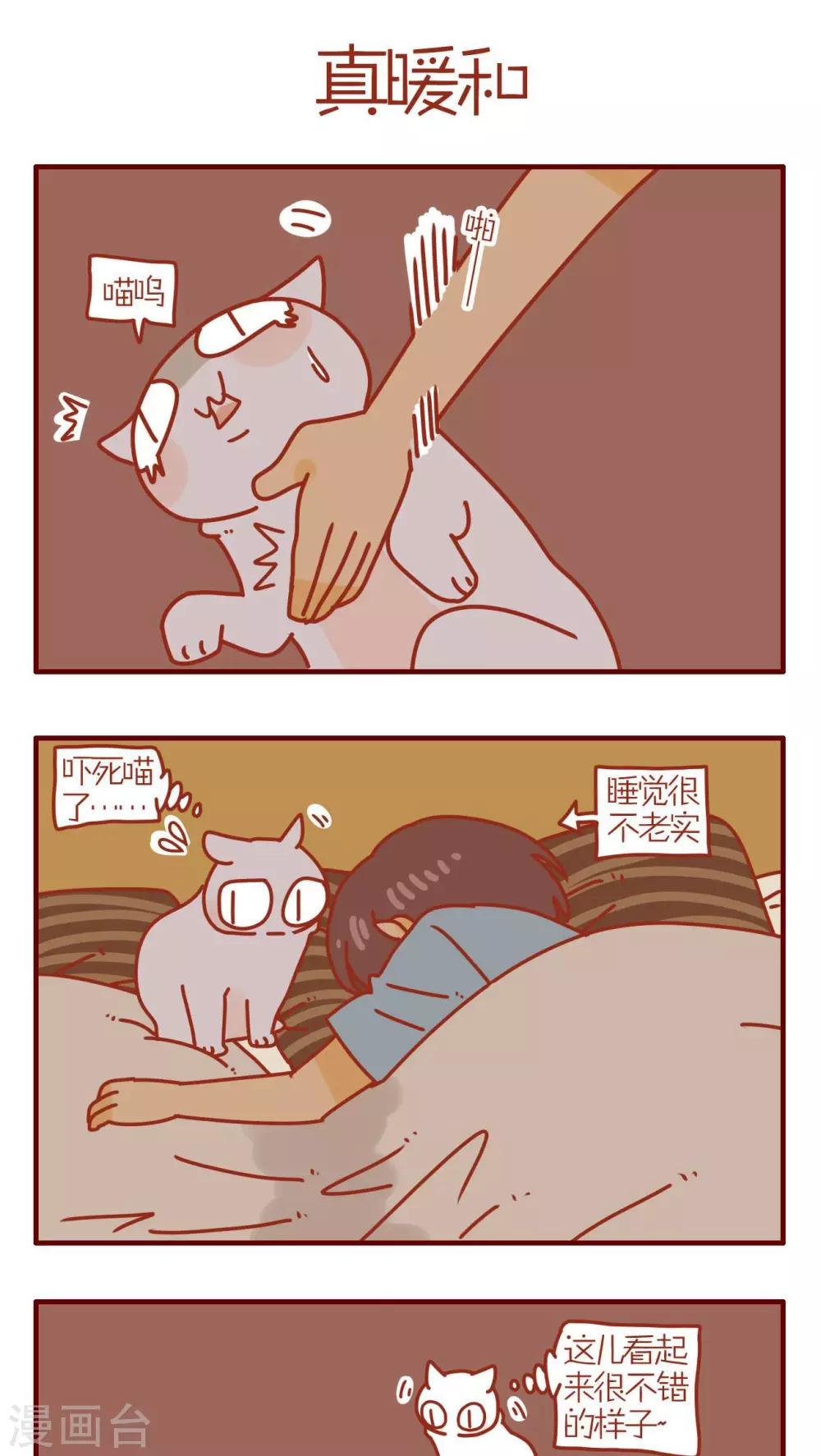 《猫咪甜品屋》第191话 第1页