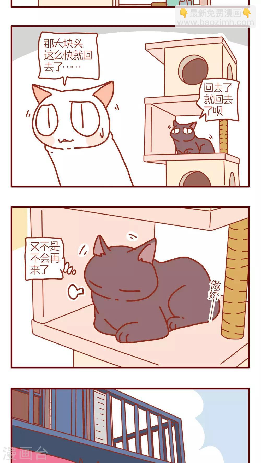 《猫咪甜品屋》第192话 第3页