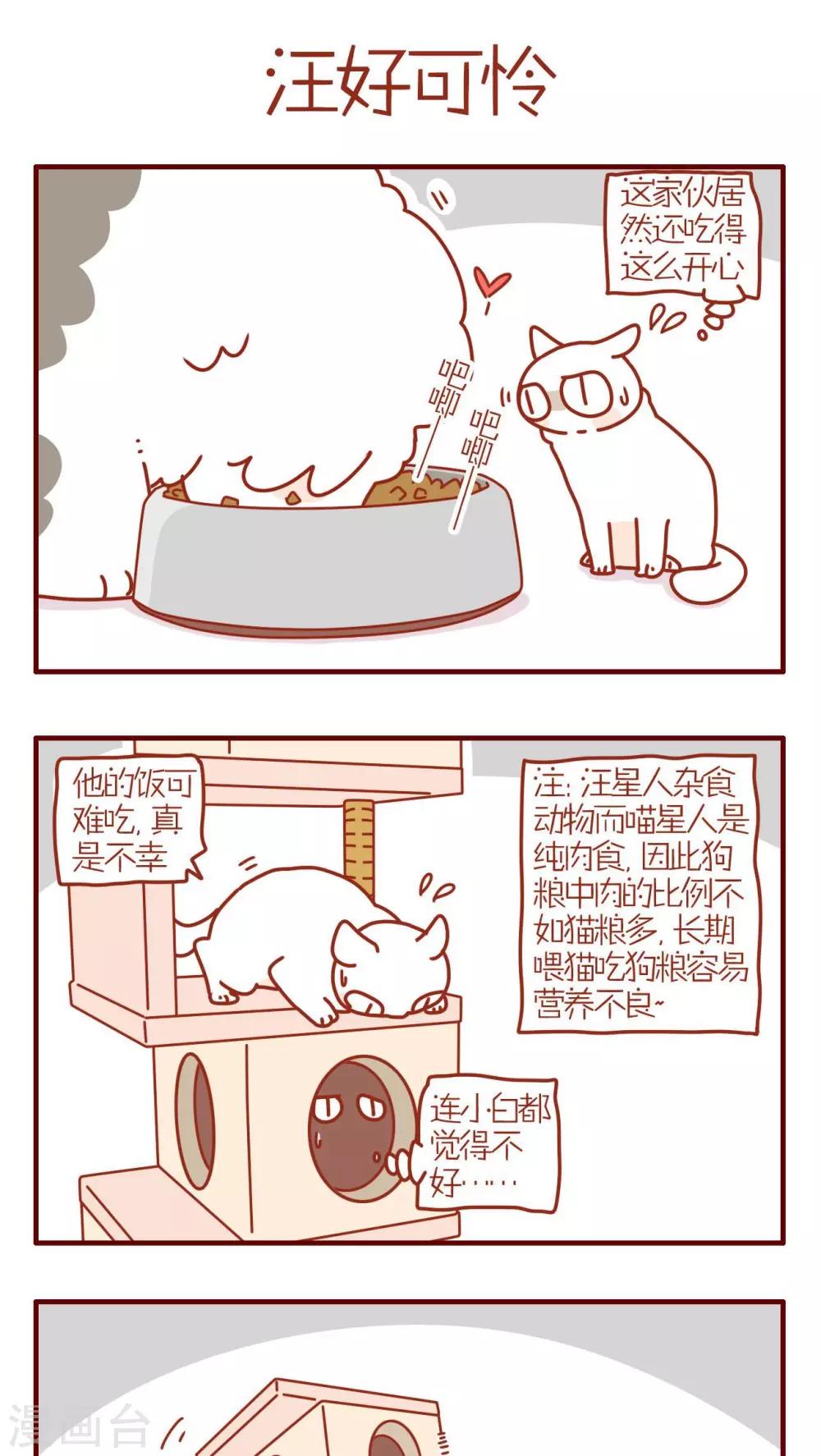 《猫咪甜品屋》第189话 第1页