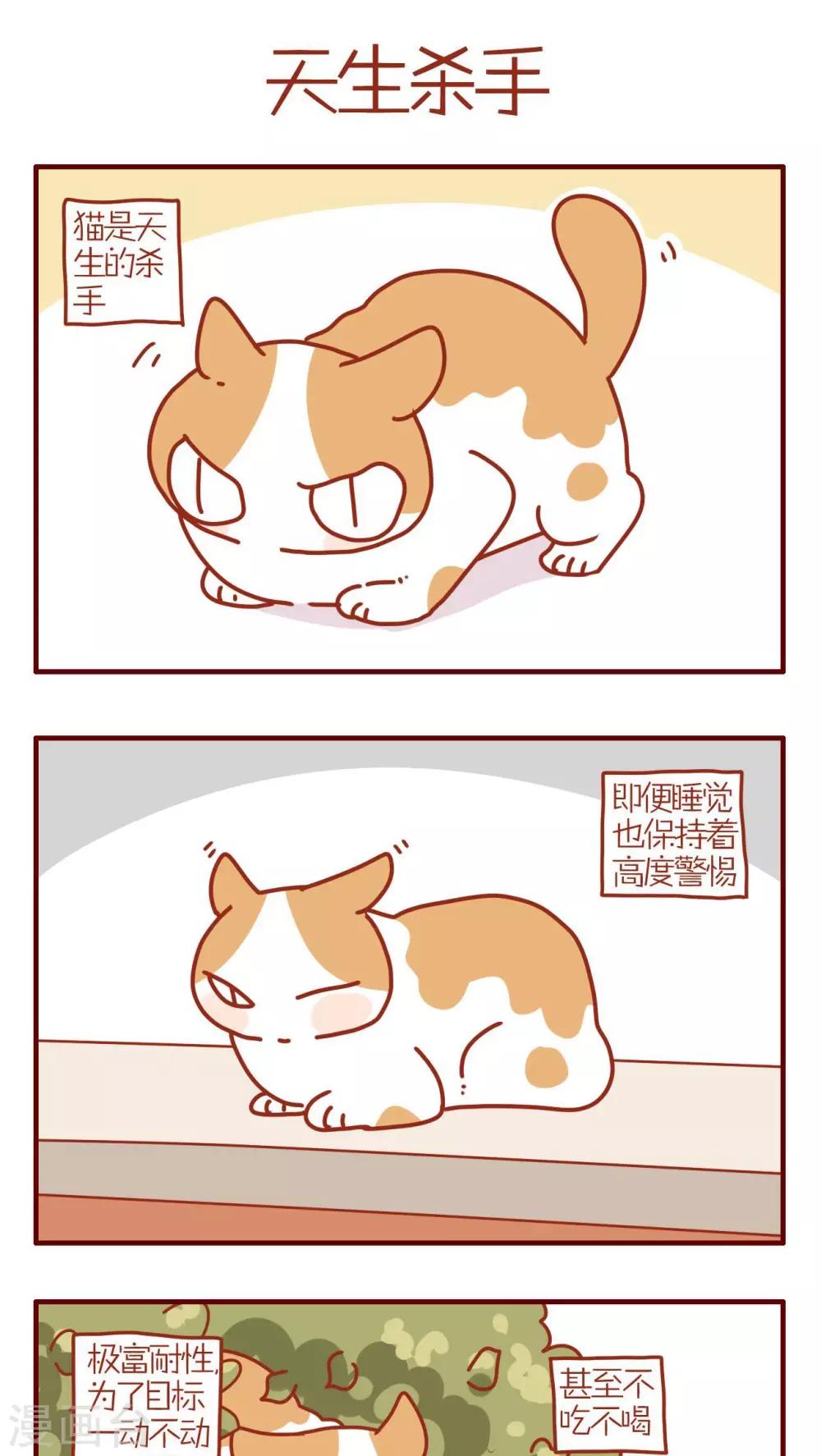 《猫咪甜品屋》第193话 第1页