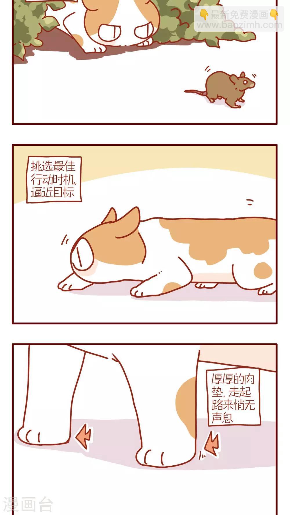 《猫咪甜品屋》第193话 第2页