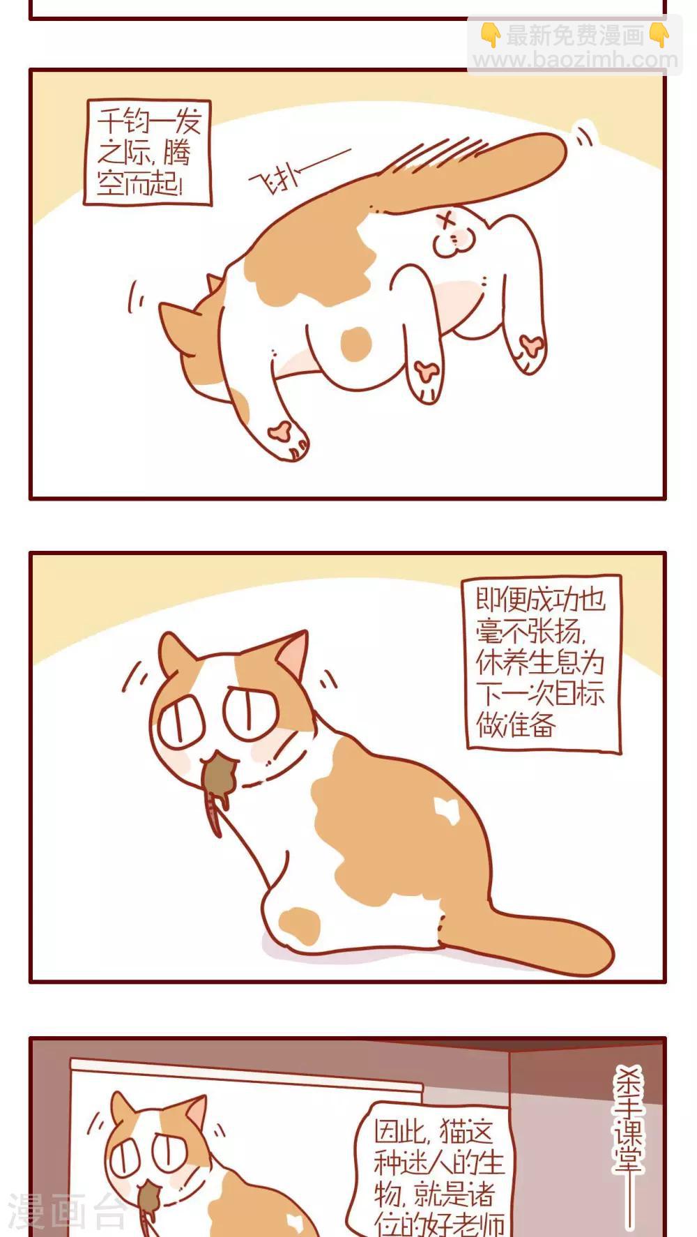 《猫咪甜品屋》第193话 第3页