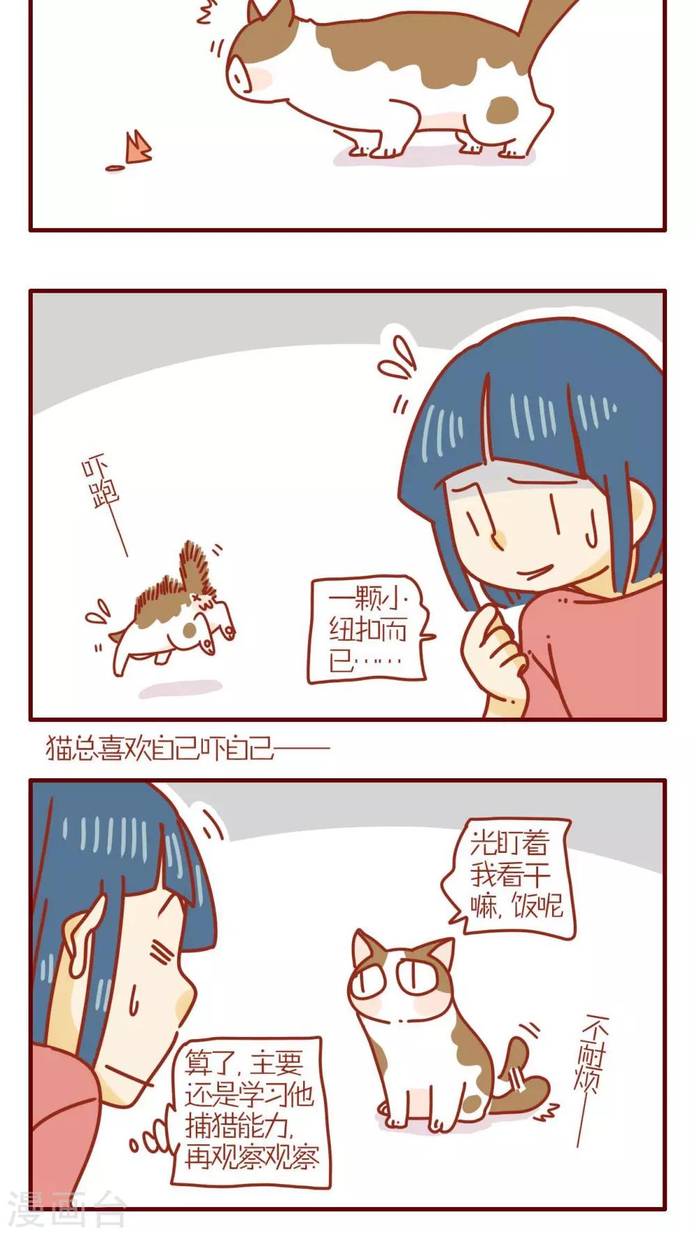 《猫咪甜品屋》第194话 第4页