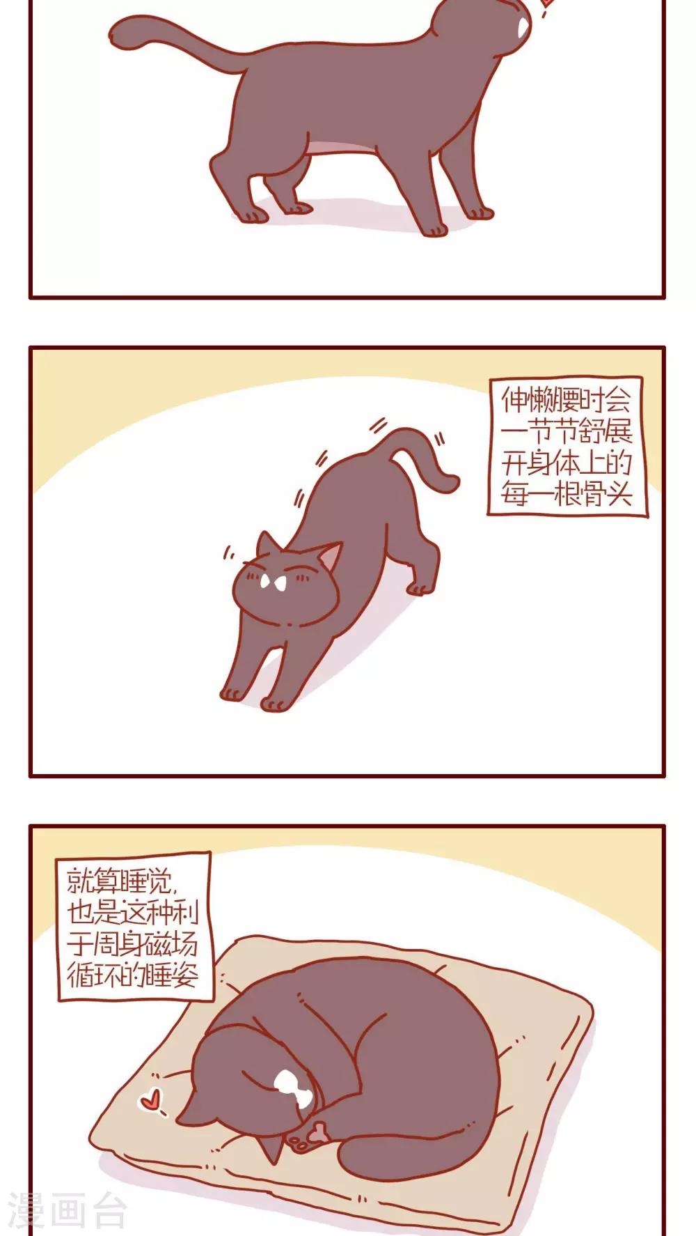 《猫咪甜品屋》第196话 第2页
