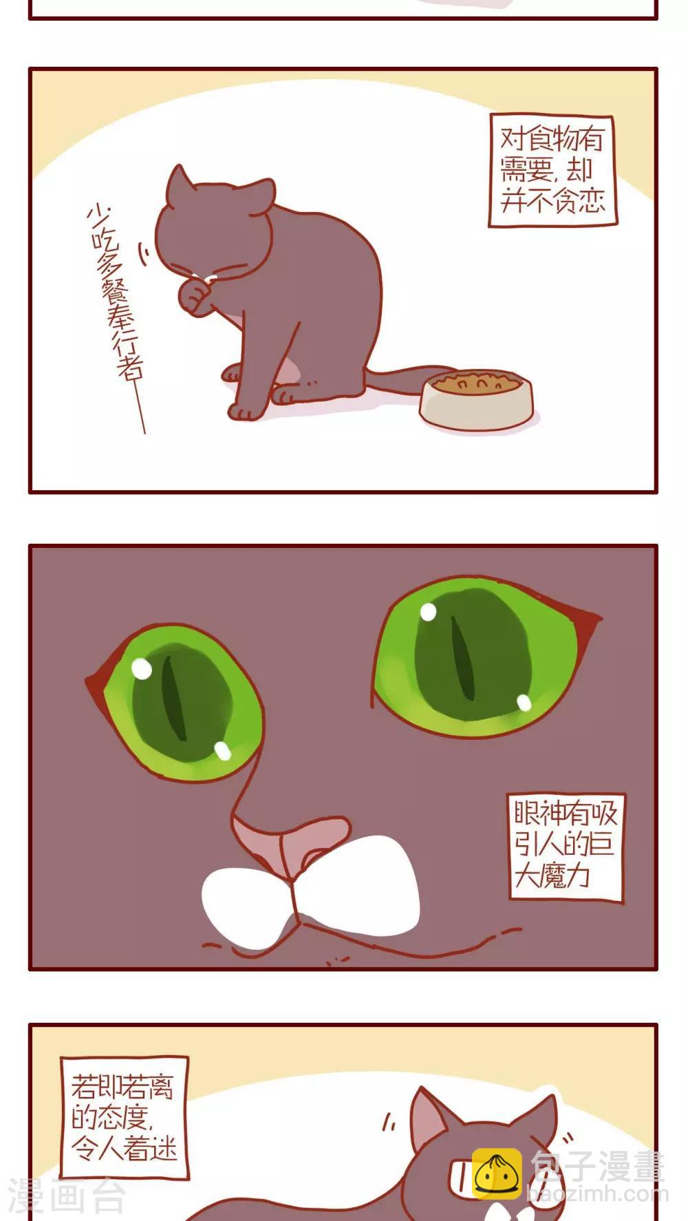 《猫咪甜品屋》第196话 第3页